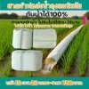 (3)สายผ้าท่อส่งน้ำถุงลมนิรภัยใช้สวมปากท่อพญานาคส่งน้ำไปแปรงนา    หน้า 10  แบ่งจำหน่ายม้วนหนึ่งยาว  20,30,40,50,60,70 เมตร)