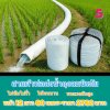 (3)สายผ้าท่อส่งน้ำถุงลมนิรภัย แข็งแรงทนทานใช้ได้นานหลายปีกันน้ำได้ 100 % หน้า 30 แบ่งจำหน่ายม้วนหนึ่งยาว  10,15,20,25,30,35 เมตร