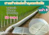 สายผ้าร่ม 5,7,10,12,15,20 กิโล