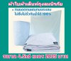 ผ้าใบถุงลมนิรภัย (5)โปรโมทสินค้า ลดราคา 20 % ขนาดใช้คลุมสิ่งของสินค้าทั่วไป มีขนาด 1.7X4 ,2X3,2X4,2X5,2X6,2X7,2X8  ( สินค้าพร้อมส่ง