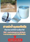 สายส่งน้ำถุงลมนิรภัย กิโลละ160