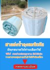 อีเว้นป๊อบ ถุงลม 5