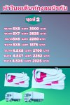 ผ้าใบถุงลมนิรภัยผืนใหญ่ขนาดคลุมรถบรรทุก 6 ล้อเล็ก 6 ล้อใหญ่ ขอบฝังเชือกตอกตาไกห่าง 50 เซ็นแข็งแกร่งทนแรงลม (2)