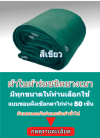 ผ้าใยผ้าร่มตอกตาไก่ (สีเขียว-4)