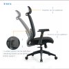 Ergo Chair Joely with Headrest Black