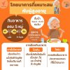 Nutrition for the Elderly: Healthy Eating for Strong Aging Nutrition for the Elderly: Healthy Eating for Strong Aging