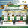 ศูนย์ดูแลผู้สูงอายุ ราชพฤกษ์