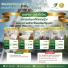 ศูนย์ดูแลผู้สูงอายุ ราชพฤกษ์