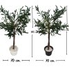 ต้นมะกอกโอลีฟปลอมประดิษฐ์ Artificial / Fake Olive Tree