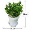 ต้นไม้ปลอมประดิษฐ์ใบเขียวกระถางขาว 6 นิ้ว Artificial green-leaf plant in a 6-inch white pot.