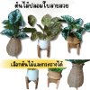 ต้นไม้ปลอมประดิษฐ์ใบลายสวยในแจกันหวายและกระถางเบลล่าพร้อมป้าย