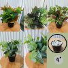 ต้นไม้ปลอมต้นไม้ประดิษฐ์ใบสวยกระถาง4นิ้ว Artificial plant, beautiful realistic leaves