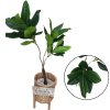 ต้นยางอินเดียปลอมในตะกร้าหวาย พร้อมขาตั้งไม้ – Artificial rubber plant in a wicker basket