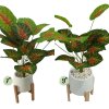 ต้นบอนสีปลอมขนาดใหญ่เหมือนจริง Artificial / Fake Fancy Leaf Caladium Plant