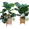 ต้นมอนสเตอร่าปลอมขนาดใหญ่เหมือนจริง Artificial / Fake Monstera plantket, wooden stand