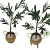 ต้นมะกอกโอลีฟปลอมประดิษฐ์ Artificial / Fake Olive Tree