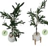 ต้นมะกอกโอลีฟปลอมประดิษฐ์ Artificial / Fake Olive Tree