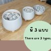 กระถางดินเผาสีขาวนวลมินิมอล White clay pot, minimalistic pot