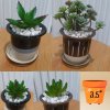แคคตัสปลอมต้นไม้ประดิษฐ์ในกระถางเซรามิก Artificial cactus in a ceramic pot.