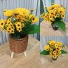ดอกทานตะวันปลอมดอกไม้ประดิษฐ์ในตะกร้าสานขาไม้ Artificial sunflower in basket with wooden stand