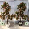 ต้นโกสนปลอมต้นไม้ประดิษฐ์ Artificial / Fake Croton Tree