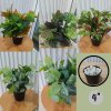 ต้นไม้ปลอมต้นไม้ประดิษฐ์ใบสวยกระถาง4นิ้ว Artificial plant, beautiful realistic leaves