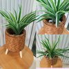 ต้นเศรษฐีเรือนนอกปลอมประดิษฐ์ตะกร้าสาน(หวายเทียม) Artificial plant