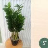 ต้นกวักมรกตประดิษฐ์ต้นไม้ปลอมเหมือนจริงแต่งบ้านแต่งร้านขนาดใหญ่ Artificial ZZ Plant
