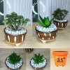 แคคตัสปลอมต้นไม้ประดิษฐ์ในกระถางเซรามิก Artificial cactus in a ceramic pot.