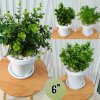 ต้นไม้ปลอมประดิษฐ์ใบเขียวกระถางขาว 6 นิ้ว Artificial green-leaf plant in a 6-inch white pot.