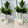 ต้นยางอินเดียปลอมต้นไม้ประดิษฐ์ขนาดใหญ่กระถางเบลล่า 9 นิ้ว Artificial / Fake Indian Rubber Plant
