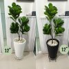 ต้นไทรใบสักปลอมในกระถางทรงสูง 12 นิ้ว Artificial Fiddle-leaf fig Home Decor