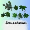แคคตัสปลอมในกระถางเซรามิก