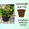 ดอกหญ้าขาวดอกไม้ปลอมประดิษฐ์
