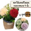ดอกแดนดิไลออนดอกไม้ปลอมประดิษฐ์