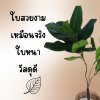 ต้นยางอินเดียปลอมในตะกร้าหวาย พร้อมขาตั้งไม้ – Artificial rubber plant in a wicker basket