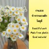 ดอกคาโมมายล์ปลอม Artificial white chamomile flower.