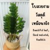 ต้นกวักมรกตประดิษฐ์ต้นไม้ปลอมเหมือนจริงแต่งบ้านแต่งร้านขนาดใหญ่ Artificial ZZ Plant
