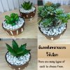 แคคตัสปลอมต้นไม้ประดิษฐ์ในกระถางเซรามิก Artificial cactus in a ceramic pot.
