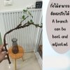 กิ่งไม้ใบไม้ปลอมประดิษฐ์แจกันแก้ว Artificial branches and leaves in a glass vase.