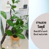 กิ่งไม้ใบไม้ปลอมประดิษฐ์ไหดินเผา Artificial branches and leaves in a clay pot.