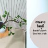 กิ่งไม้ใบไม้ปลอมประดิษฐ์ไหดินเผา Artificial branches and leaves in a clay pot.