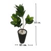 ต้นยางอินเดียปลอมในกระถางทรงสูง 12 นิ้ว Artificial Rubber Plant Home Decor