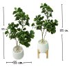 ต้นหัวใจเศรษฐี (สาริกาด่าง) ต้นไม้ปลอมประดิษฐ์กระถางเบลล่า 9 นิ้ว Artificial Mistletoe Fig
