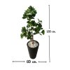 ต้นหัวใจเศรษฐี (สาริกาด่าง) ต้นไม้ปลอมประดิษฐ์ Artificial Mistletoe Fig