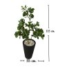 ต้นหัวใจเศรษฐี (สาริกาด่าง) ต้นไม้ปลอมประดิษฐ์ Artificial Mistletoe Fig