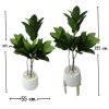 ต้นยางอินเดียปลอมต้นไม้ประดิษฐ์ขนาดใหญ่กระถางเบลล่า 9 นิ้ว Artificial / Fake Indian Rubber Plant