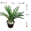 ต้นเศรษฐีเรือนนอกปลอมต้นไม้ประดิษฐ์กระถาง 4 นิ้ว 4-inch potted artificial plant.
