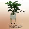 ต้นมอนสเตอร่าปลอมในกระถางเบลล่า 9 นิ้ว พร้อมขาตั้งไม้ | Artificial Monstera Plant