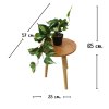 ต้นพลูบราซิลปลอมประดิษฐ์ในกระถางพลาสติก Artificial Brazilian philodendron in a plastic pot.